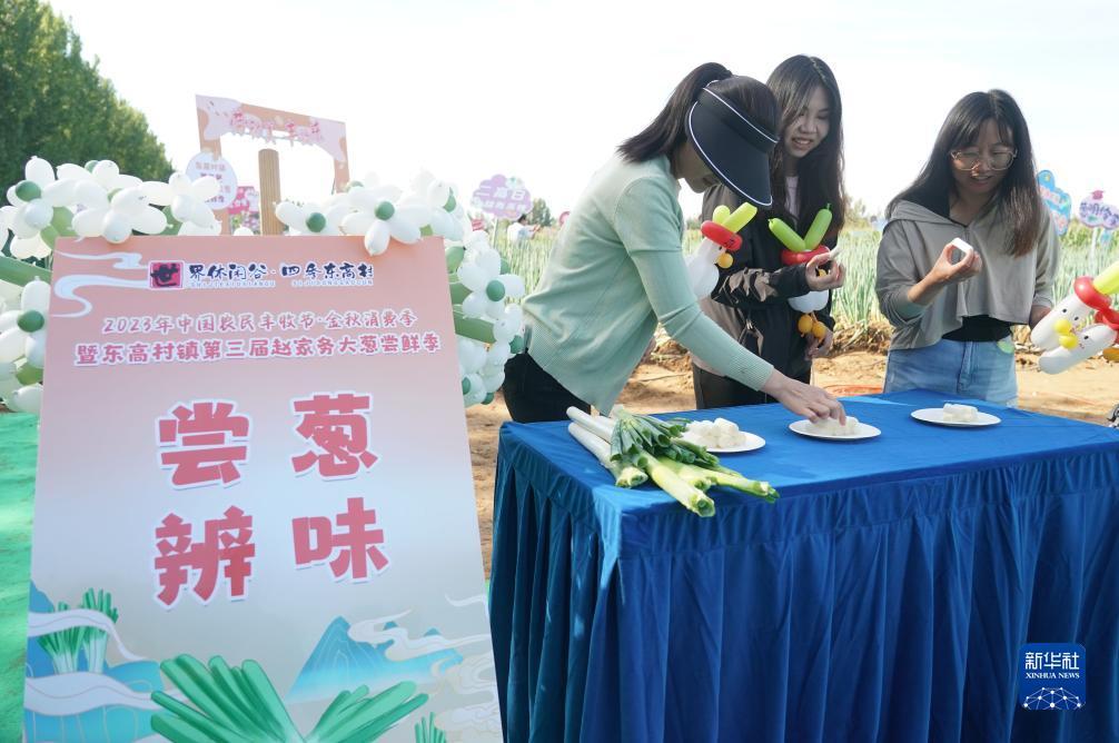 永乐国际欢迎您